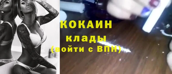 соль ск Арсеньев