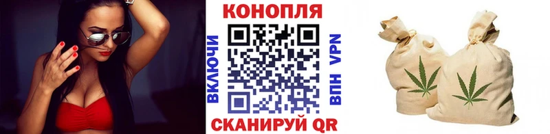 наркошоп  Новотроицк  Канабис сатива 